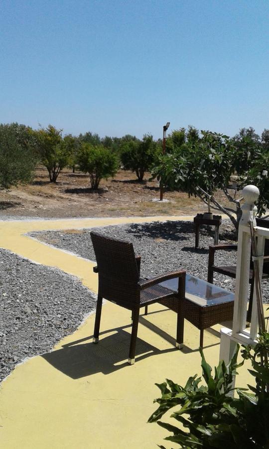 Mersinera Paradise Garden Stars House Larnaca Luaran gambar