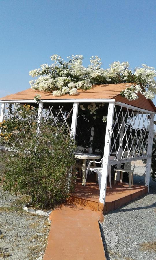 Mersinera Paradise Garden Stars House Larnaca Luaran gambar